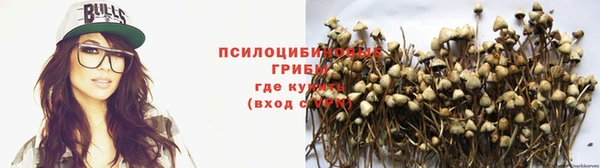 mdpv Богородск