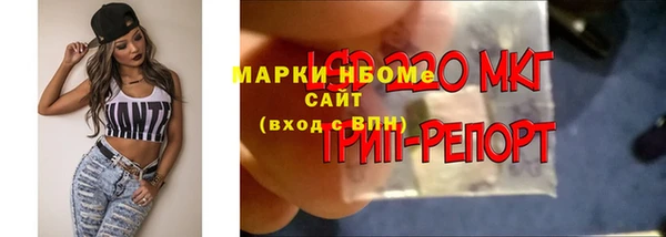 mdpv Богородск