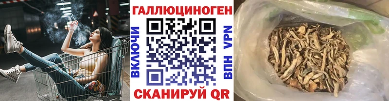 hydra онион  Калуга  Псилоцибиновые грибы GOLDEN TEACHER 
